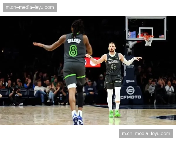 森林狼海兰德替补得分 迪温琴佐组织分配球权合理高效